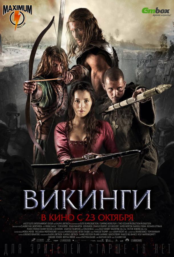 Фильм Викинги (2014) смотреть онлайн в качестве FHD